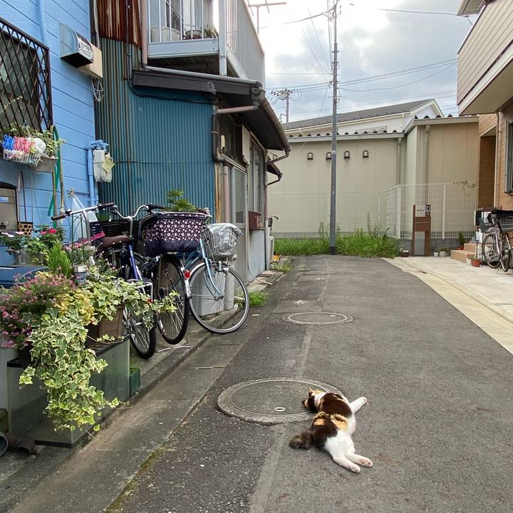 9c0ec6ff 98a7 4aef 9f73 531131366045 1666505136618