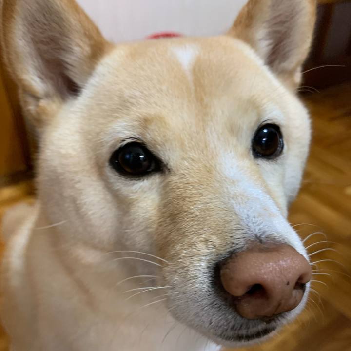 9c0ecb62 225f 4cad ad53 0c84513b5aa7 1640040293298