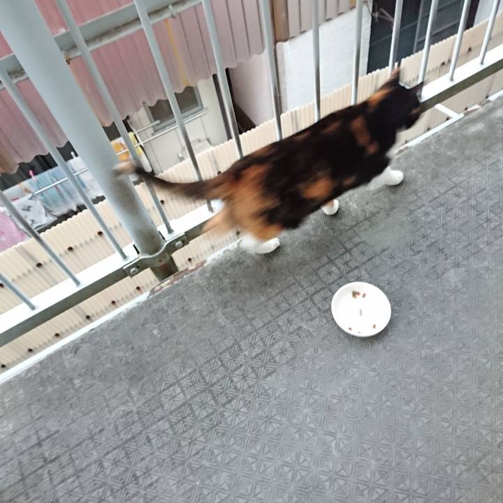 9c0ee74d 4b6e 4f0f a3b2 ff37d812d71a 1673943303027