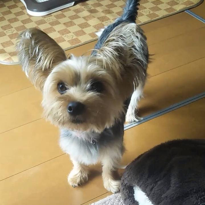 9c0f204d 65ed 4760 971b 0e96fee499d4 1594460869056