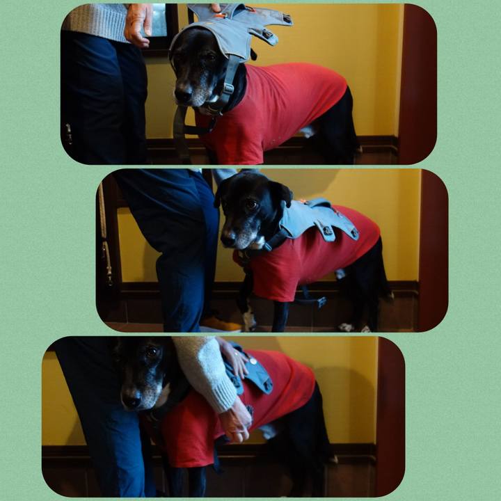 9c0f2248 cef3 4fdf 9917 f1eb79d2acc7 1735085519216