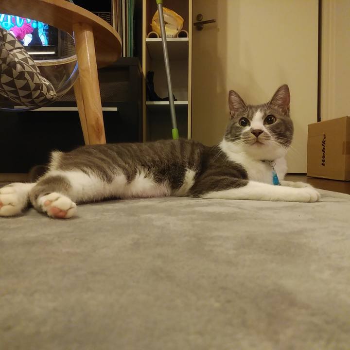 9c0f4fc7 0468 4336 8ac7 d9dbc5b2b6de 1588257664877