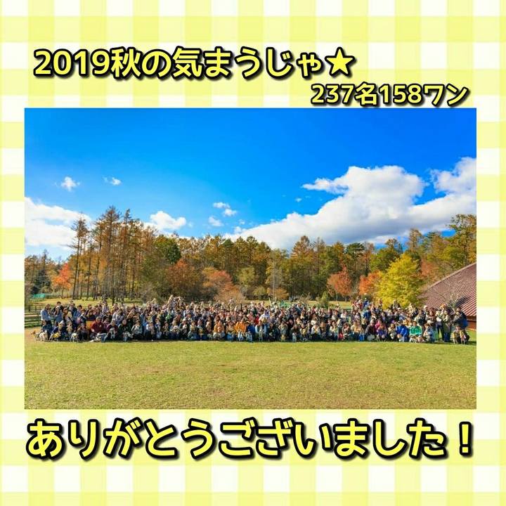 9c0f551b 5cfe 4152 b54b 1193c87ccede 1573508365156