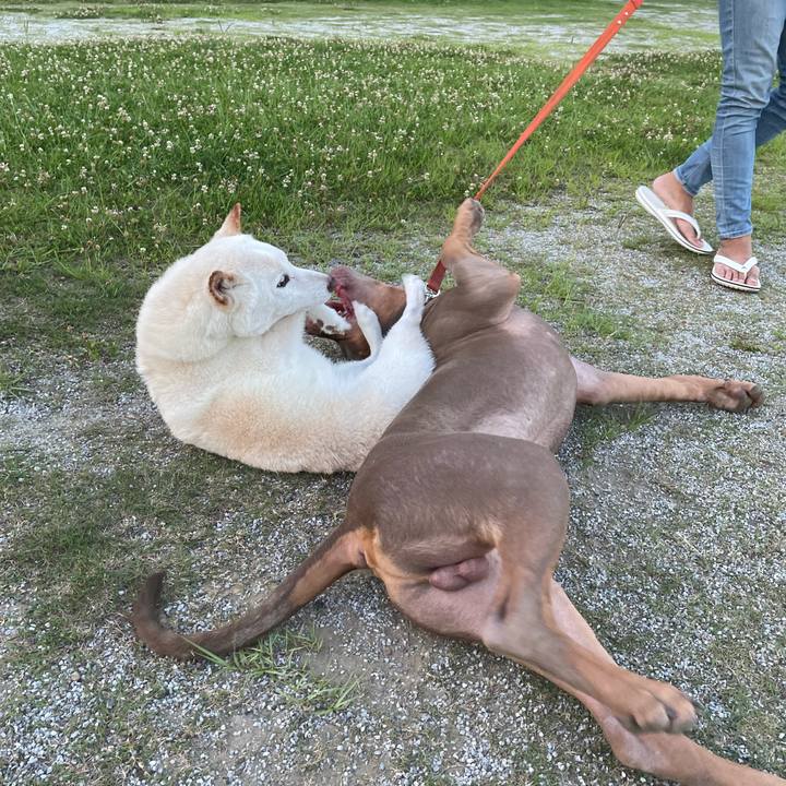 9c0f80d7 ef0a 4b3c a2ad 097d56ac3957 1656594972332