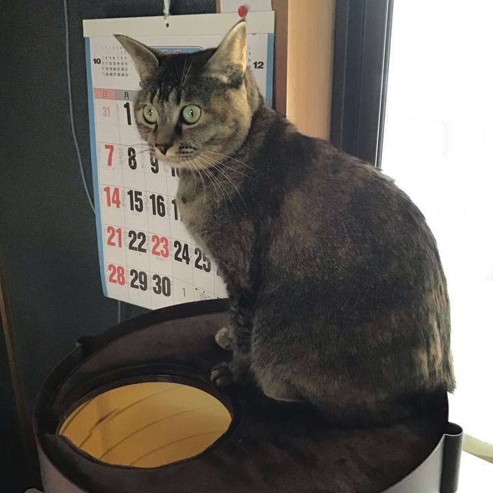 9c0f8852 bd5f 4f7d a980 bec6e03431bb 1638249599914