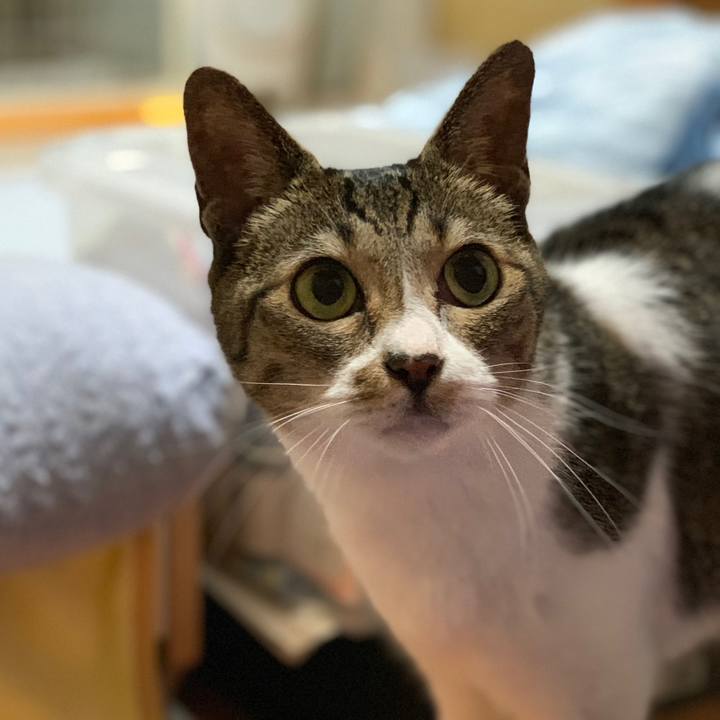 9c0f97a6 1ca0 4895 8331 6ace9e17645a 1561857267151