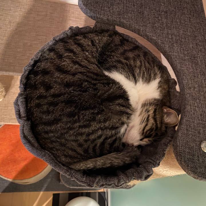 9c10472a 749e 4795 bfce 4433add66193 1588491675398