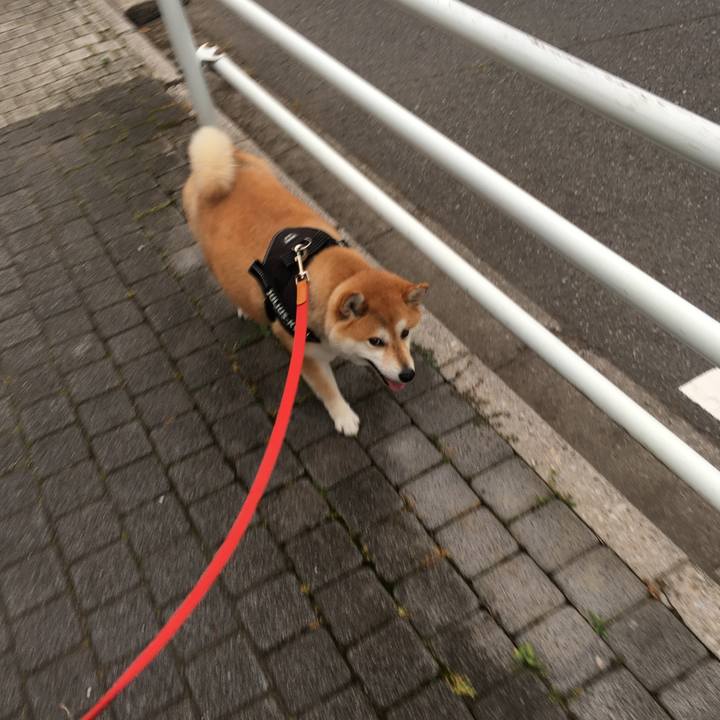 9c107331 d082 4842 9ba1 eac69b5400fb 1591955875272