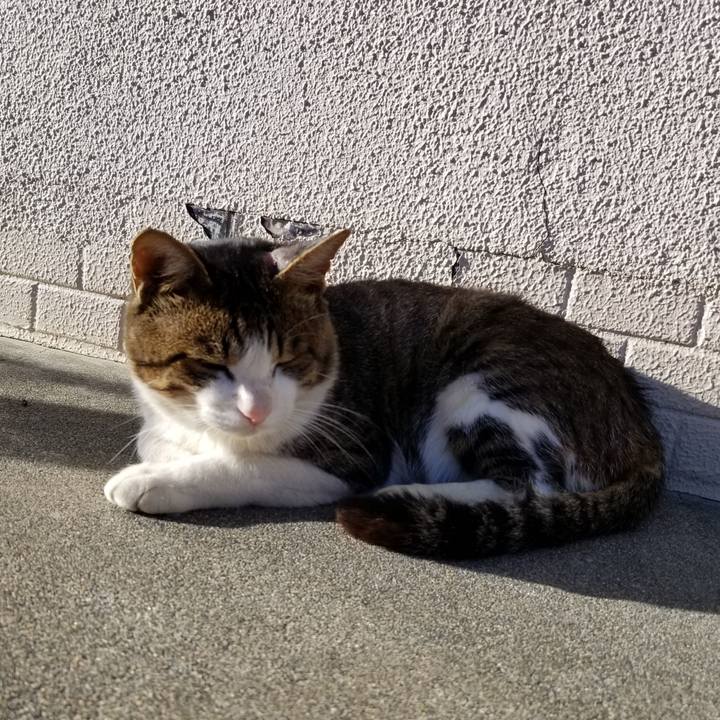 9c108171 cc12 4b65 b125 a505b791c377 1601883954054