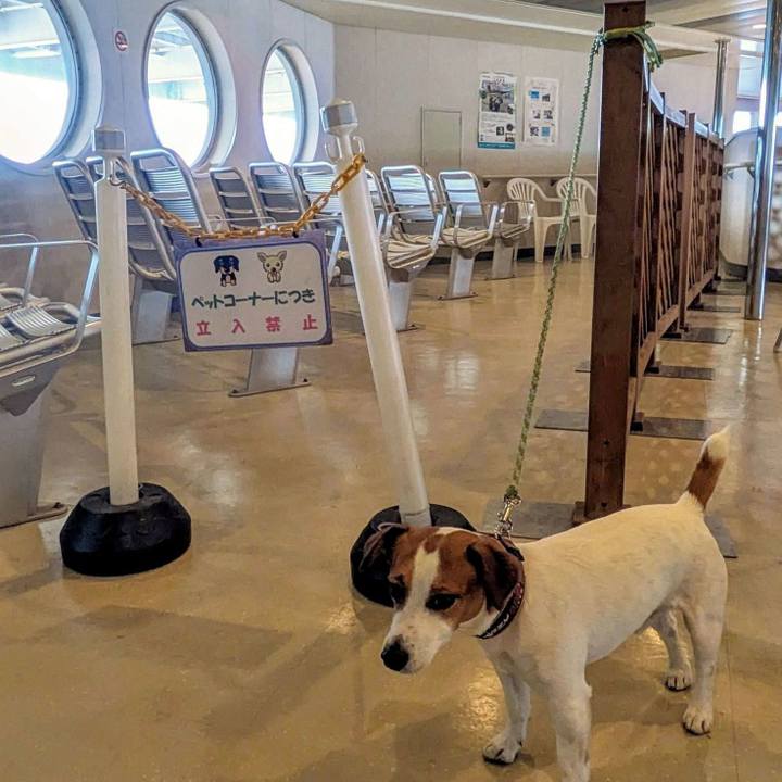 9c1082c9 ab94 4916 bdcf 54ef610643e3 1748611400177