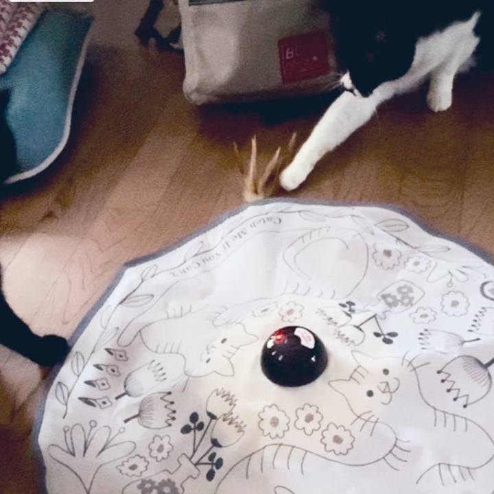 9c1089f2 9fa7 4d31 ac5e 25ab76c4f5cf 1730035099544