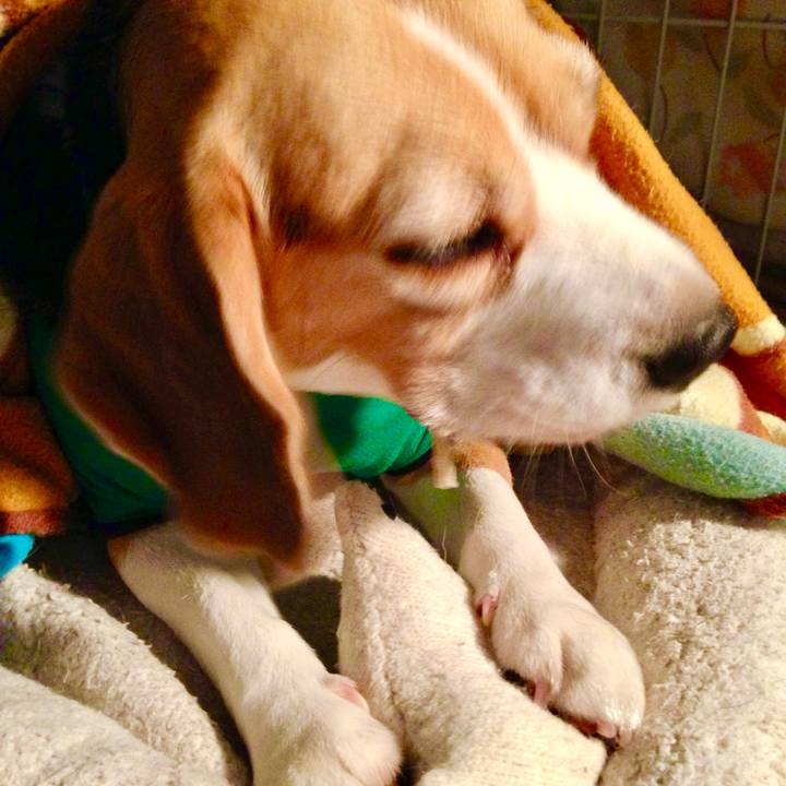 9c10e221 33be 43ff a0a7 8bf79be61bb3 1746311868513