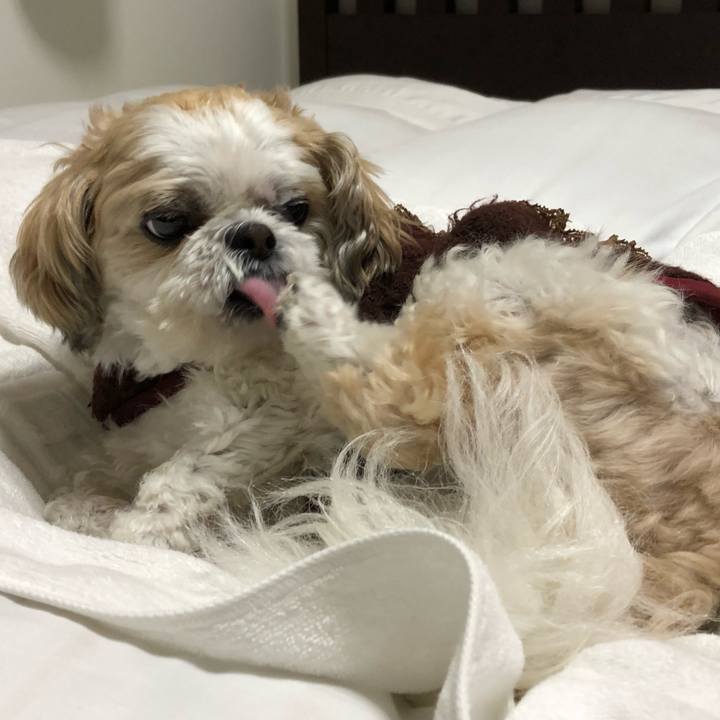 9c10e2f4 c0b5 4615 8366 9fa7b6542f38 1574633066985