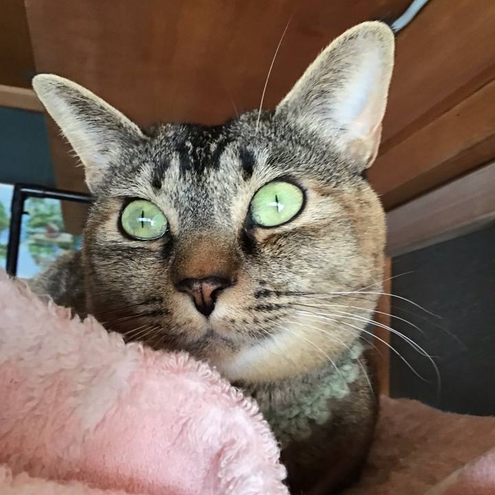 9c111bbc 704a 4683 9dcf a8f5994d3fe8 1645587318891