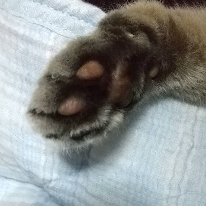 9c113f28 6b15 46f6 b289 39599385b3a4 1626962860141