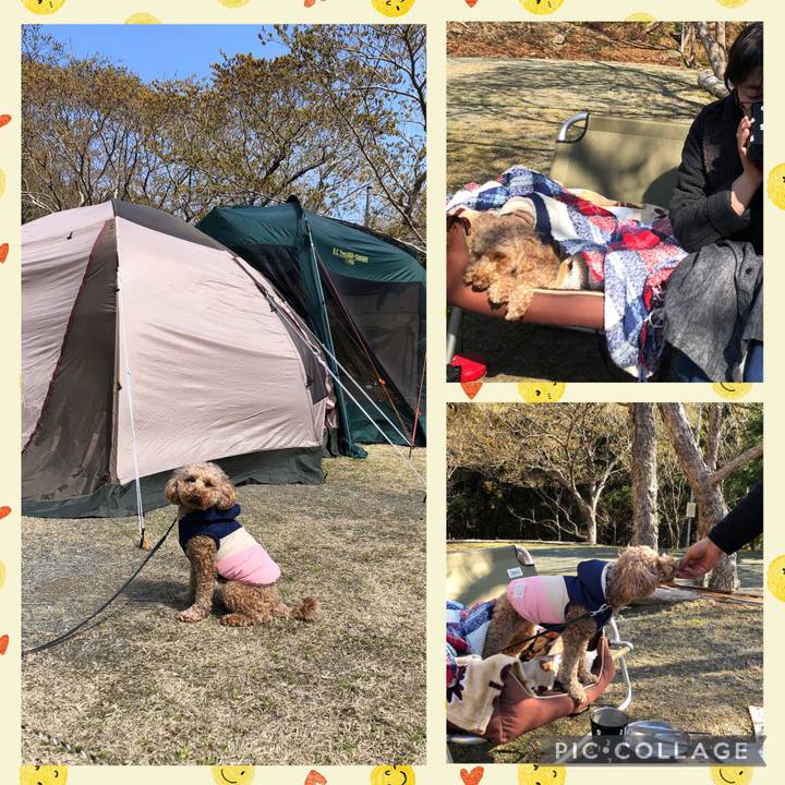 9c118cb7 6247 4077 bd94 d20e7ee61728 1743686987595