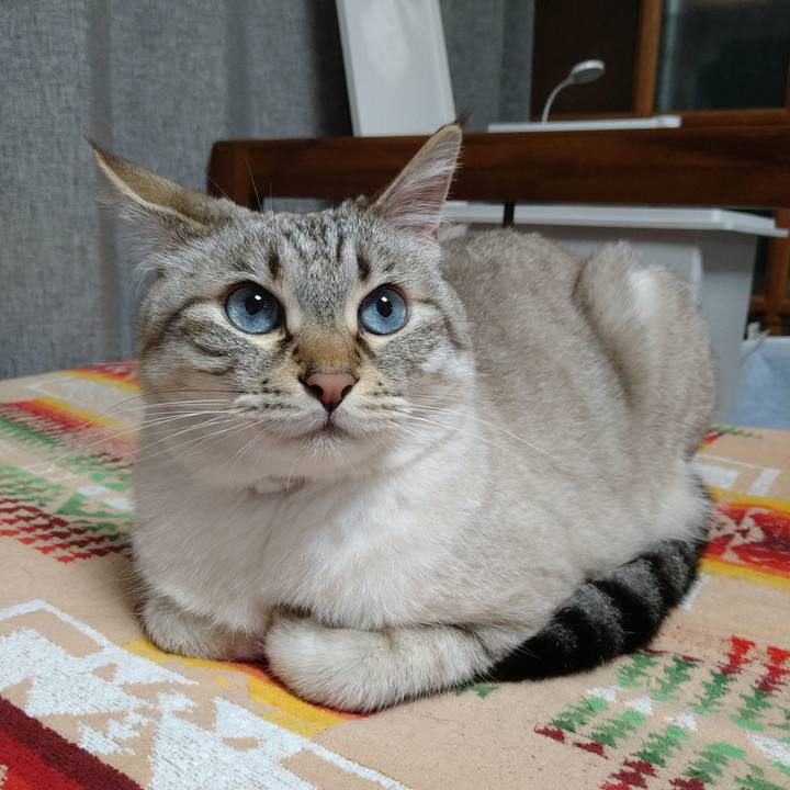 9c120419 68f8 4155 8aea ff15492a72ad 1717325999986