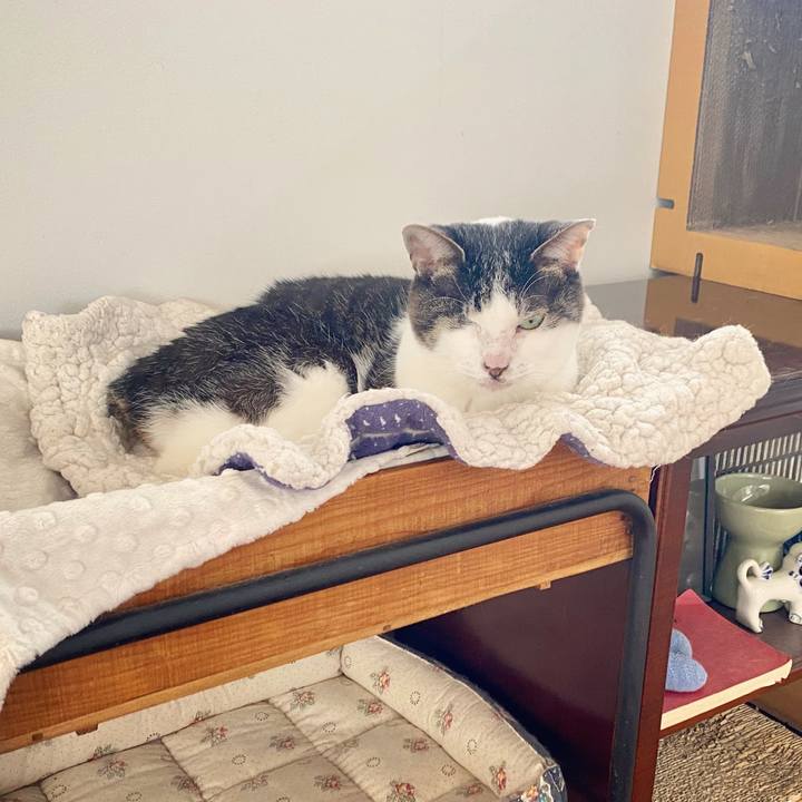 9c1219d6 dbe3 4d44 9822 e911237567ac 1617502343162