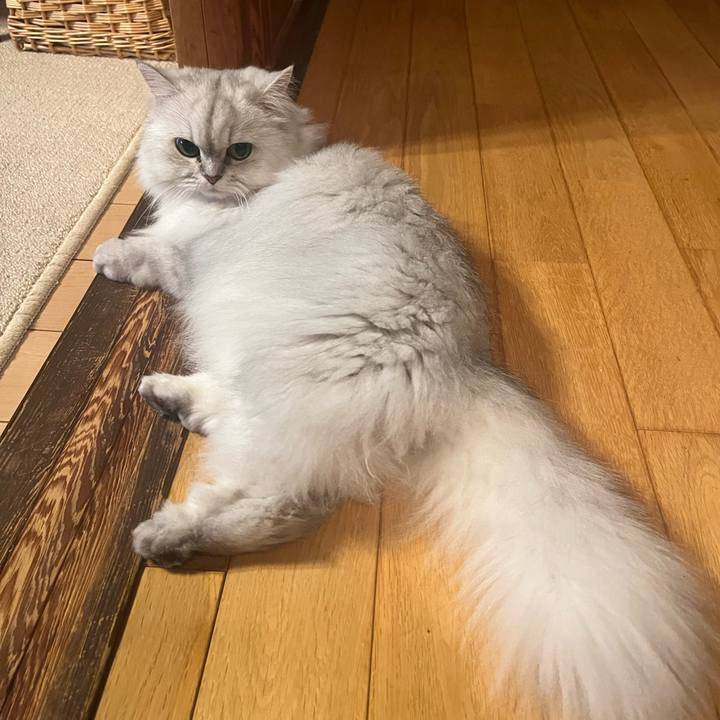 9c1243ca 7929 4618 a1ac 90211a216c15 1634209767238