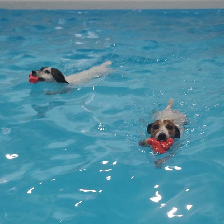 9c12a95e 1338 4b55 9fbb e1a4ae755058 1761467811240