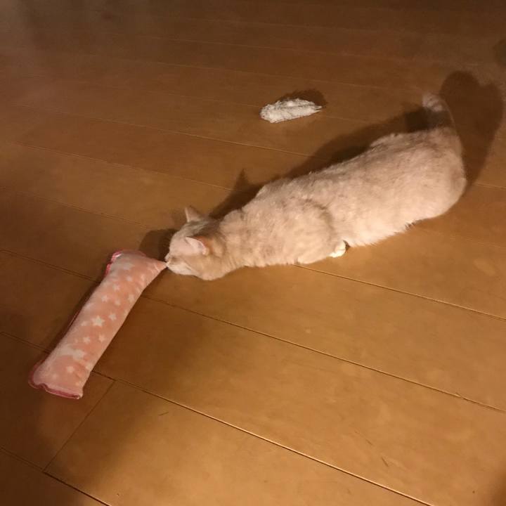 9c12bddd 6499 4aa2 90de 996c4ee5792d 1526641225688