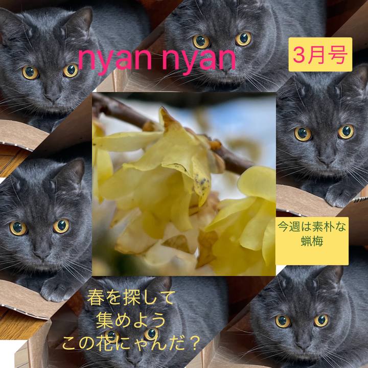 9c12d787 d038 4e69 9fa6 c482decfeb62 1677891699606