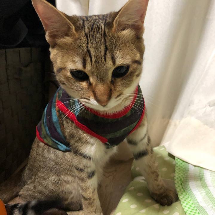 9c12fef4 378e 4a69 a8ca 010028117ed0 1587159940092