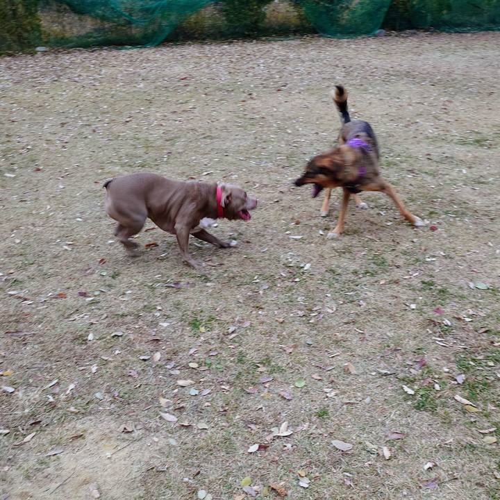 9c130194 306d 4912 a55a 3de1e2a46695 1763894359662