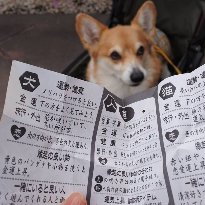 9c131f55 d032 4dc5 9f0f 043b4efff2b0 1673773325886