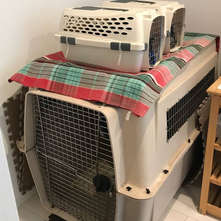 9c133632 07ce 4875 b688 a664e9b66f7c 1514967966956