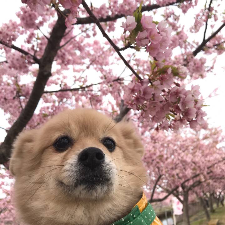 9c134384 048d 452f 9111 4b647d96016b 1583629630622