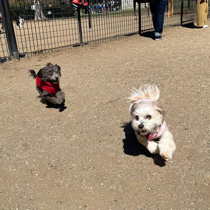 9c135c0e cfbd 4312 b2a5 e7dce5818014 1773493389587