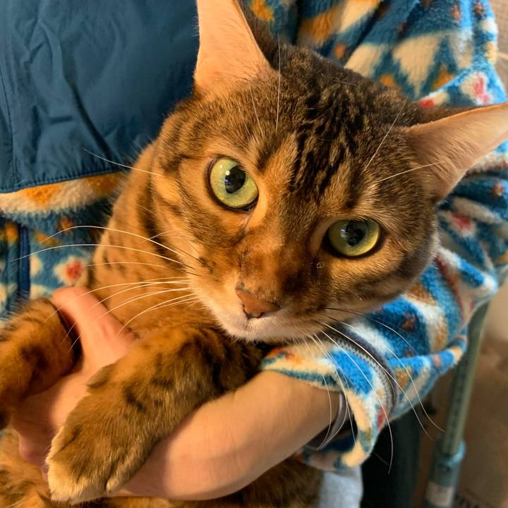 9c137396 c86d 46bb aff5 182db8891a53 1610234431702