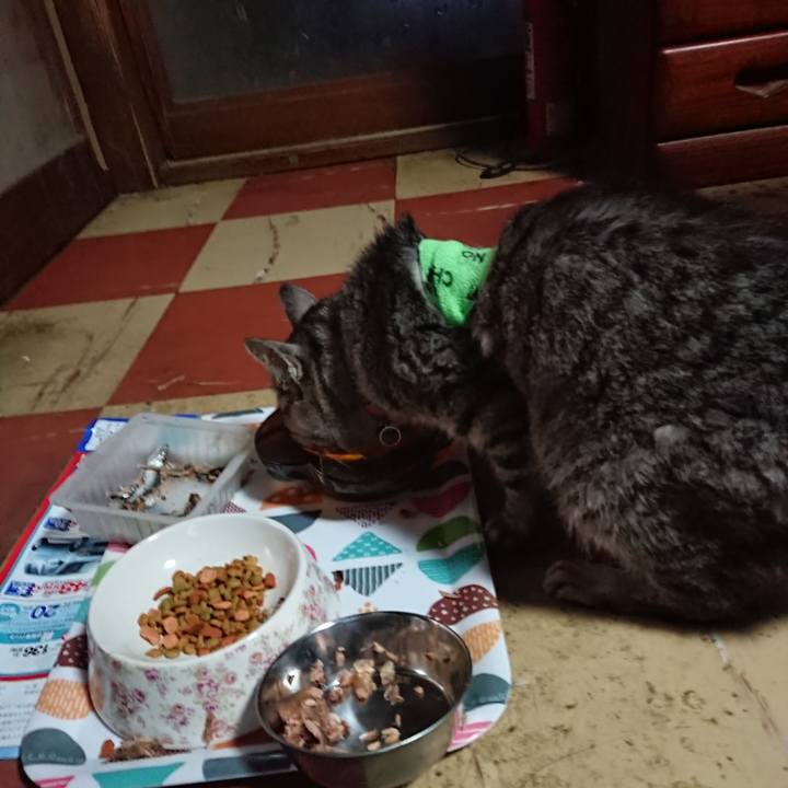 9c1399a0 0ec6 4323 8079 9365f3f87946 1587069316951