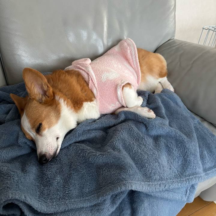 9c13bd6a ae55 43e1 aa78 fff5c92515d4 1765235150707