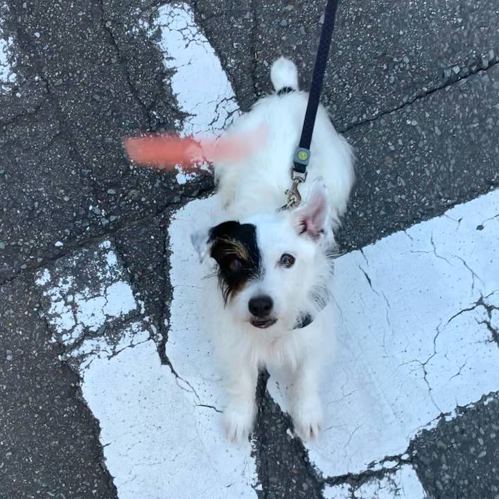 9c13d360 7cae 4dd6 b1f4 2bfb5f304690 1659083922393