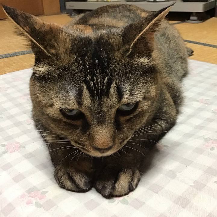 9c13d3ab 4e68 4e8d 8c55 ead87515a657 1751361848531