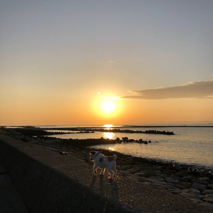 9c13e000 d799 48a5 b0be e710f6566bf0 1601627105412