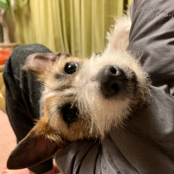 9c13e7e7 4e47 4b0f 8ca9 67c907d7f3eb 1582808932749