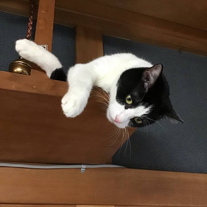 9c13f34f ce5e 42ef a5e4 7ee97aeb012e 1758186417302