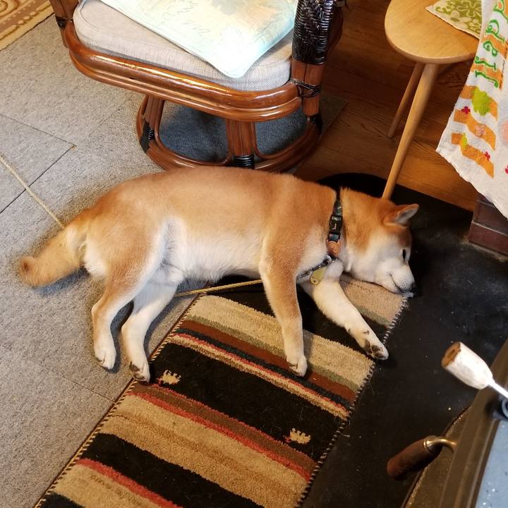 9c143342 5bab 41ea 9525 2cae17c2e098 1582683367711