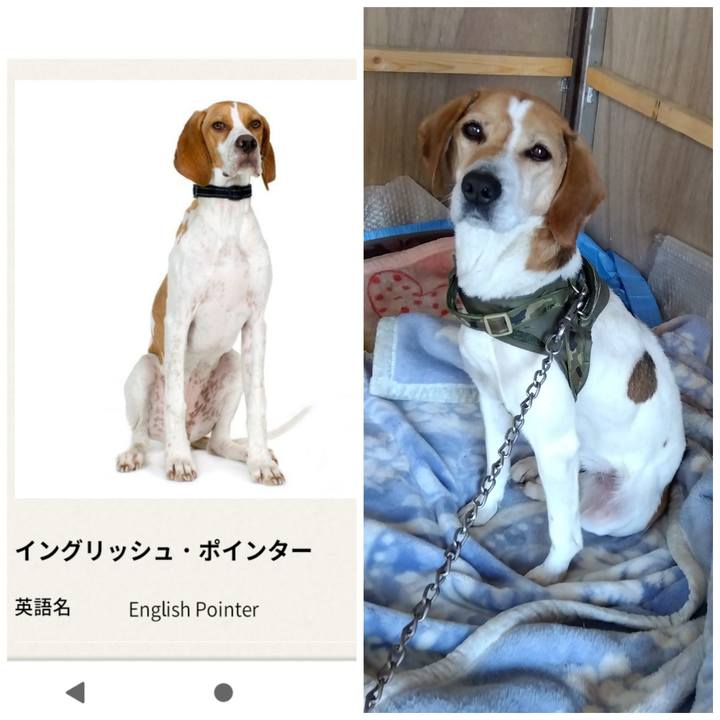 9c144ca4 f72b 4c5b a4c7 4f4031cc23b5 1681040151284