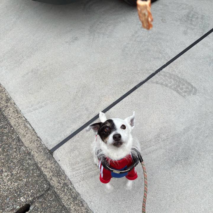 9c146b87 b5e0 4a4a 907b 1c24ecb782cf 1768090115994