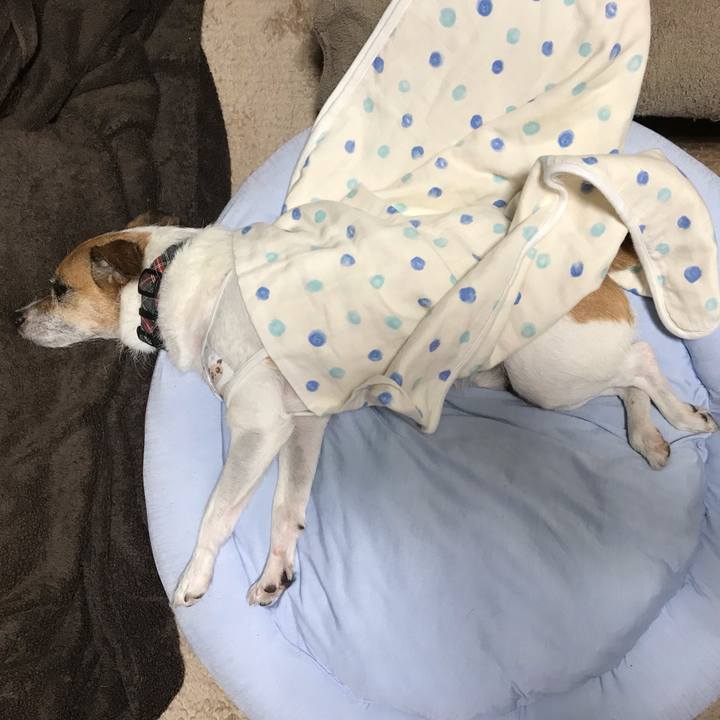 9c146f4d ada9 48a2 ba4b 9af92cb6af7a 1539266546445