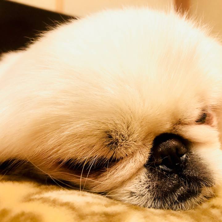 9c148f9e 61ba 4b39 9680 e5253610711e 1616069389757