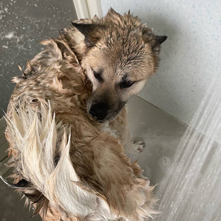 9c149ba8 9c6b 4c23 9b8e 2bbfc6ff6666 1714209288533