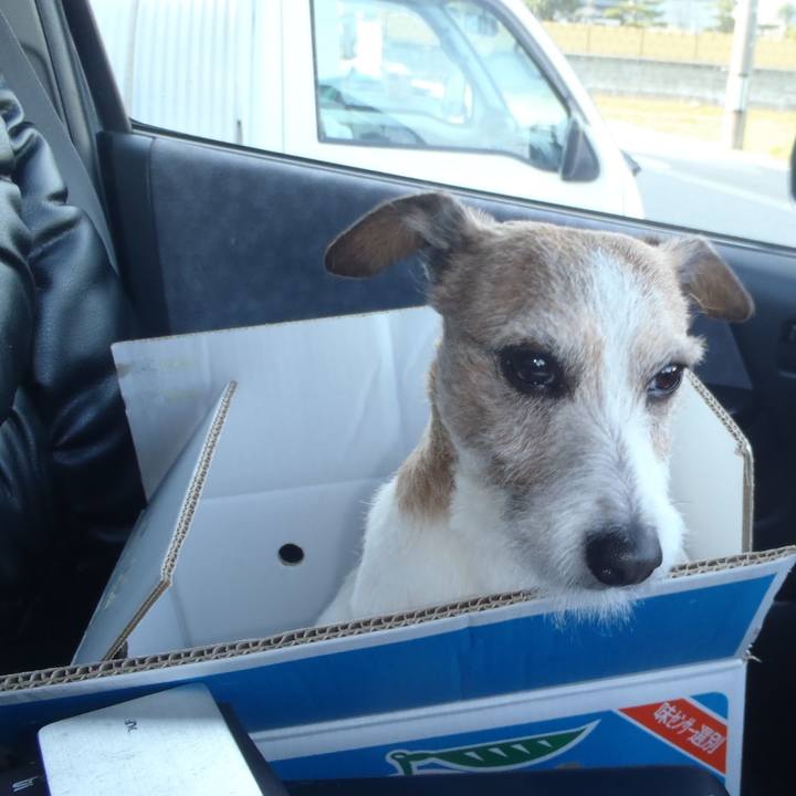 9c14d24f e006 45c7 8b78 0741db8e8728 1530417496450