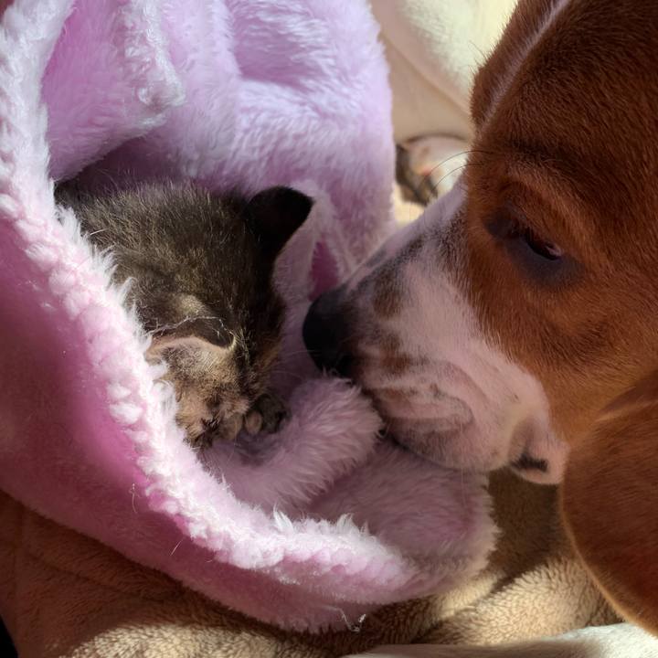 9c14e4cd 33cd 4b7b 8aa7 fc79c5f1505b 1556429397953