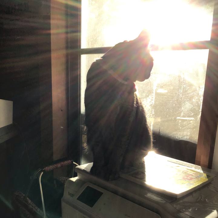 9c14fe26 494f 45e8 a512 3a1ccc4b25ce 1609397822440