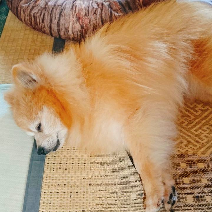 9c1513b0 d1d2 43e5 adf2 0afb87231cb4 1588463516210